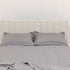 Bed Camellia