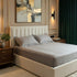 Bed Camellia