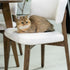 Chair Boris