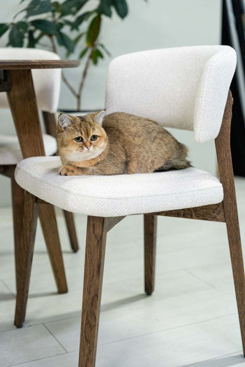 Chair Boris
